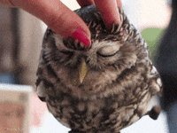 This image has an empty alt attribute; its file name is 200w-2-1.gif